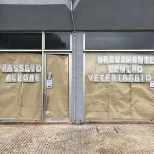 ARP Patrimoniais: Clínica Veterinária reabilitada pela nossa empresa